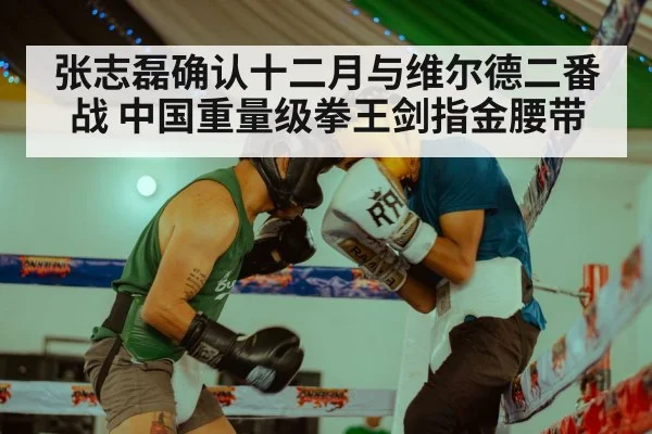 张志磊确认十二月与维尔德二番战 中国重量级拳王剑指金腰带