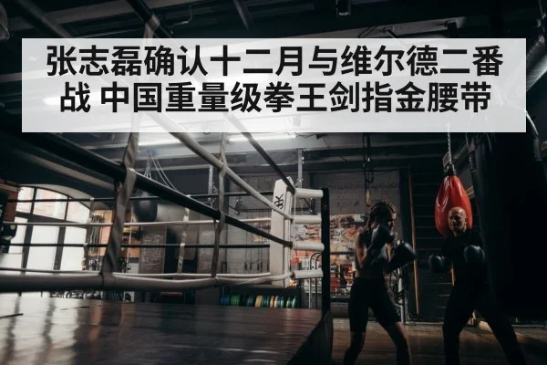 boxer training