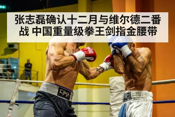 heavyweight boxing fight
