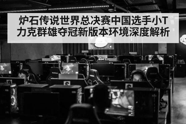 炉石传说世界总决赛中国选手小T力克群雄夺冠新版本环境深度解析